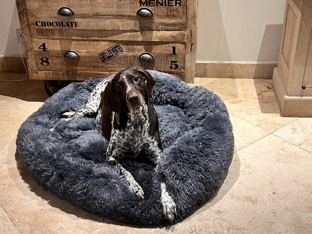 Luxe-zachte-hondenmand-Pawsy.be