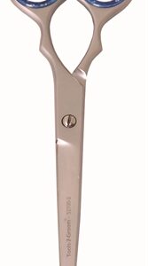 Tools-2-Groom 52700 Schaar Recht
